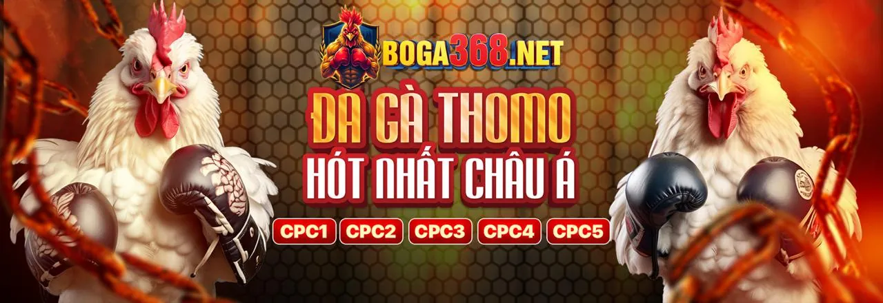 Đá Gà Trực Tuyến Win33 Win - Trận Đấu Gà Kịch Tính